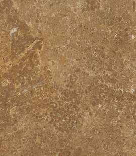 Noce Travertine