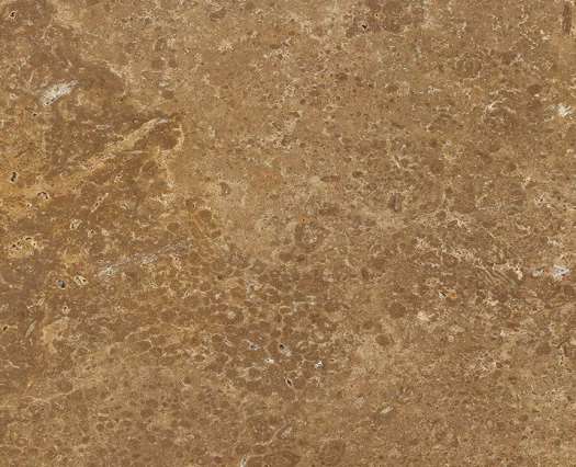 Noce Travertine taşının blok, plaka, ebatlı, Cross Cut (Amerikan), Vein Cut (Yerli Damar), mozaik ve siparişe özel satışını uygun fiyatlarla yapmaktayız.